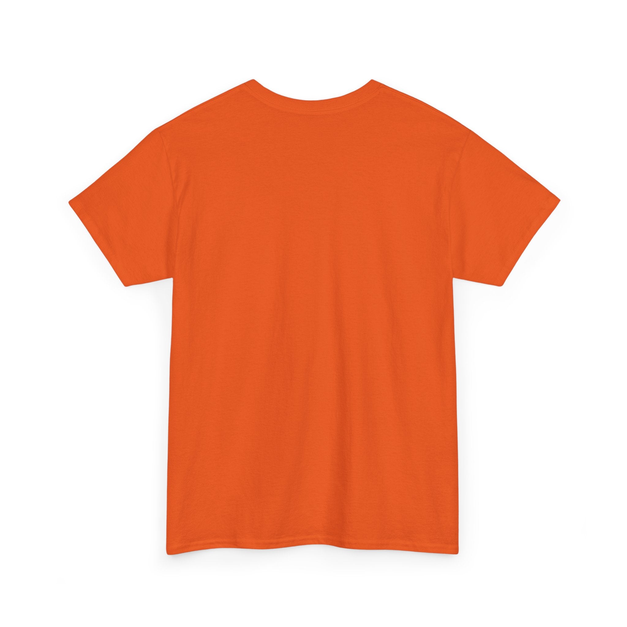 Flamingo Sunset T-Shirt — Tropical Flamingo Graphic Tee